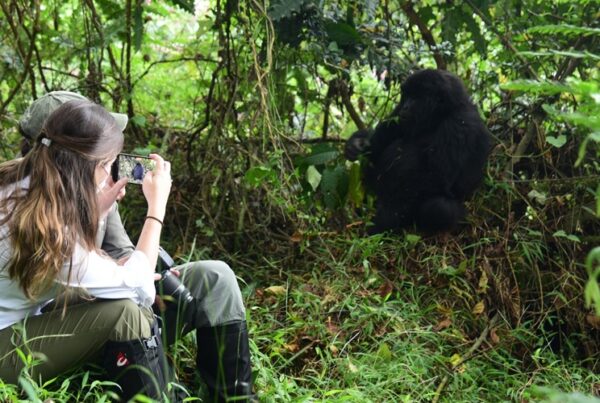 Birdwatching in Bwindi: Uganda’s Avian Paradise