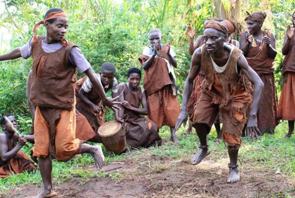Cultural Encounters with the Batwa People near Bwindi