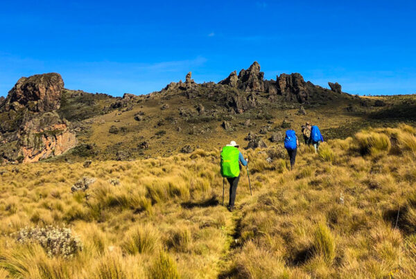 Affordable Hiking Tours in Mount Elgon