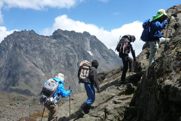 Best Time to Hike the Rwenzori