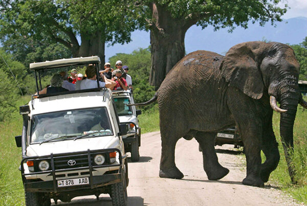 Best Time to Visit Lake Mburo
