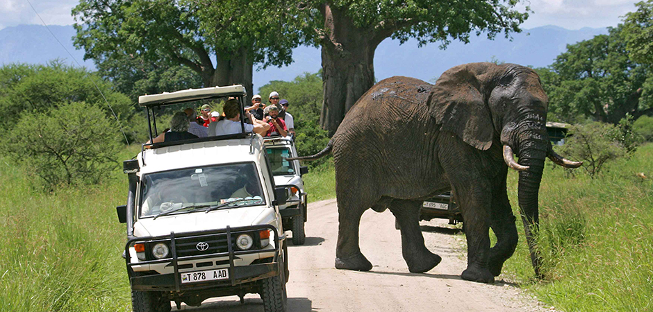 Best Time to Visit Lake Mburo for Game Drives