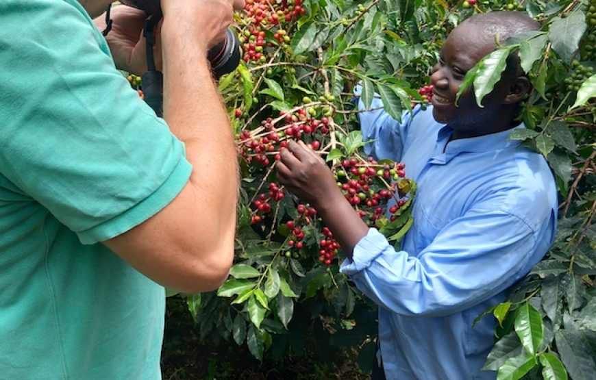 Coffee Tours near Mount Elgon: A Cultural Experience