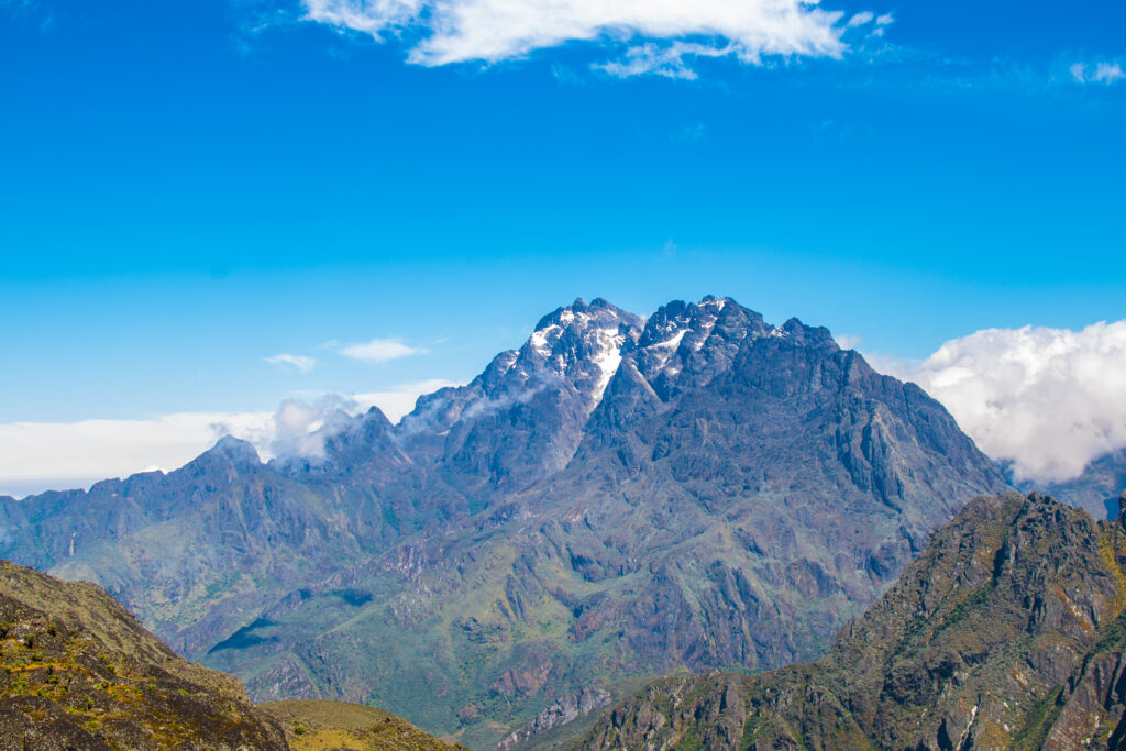 Conservation Efforts in Rwenzori Mountains National Park