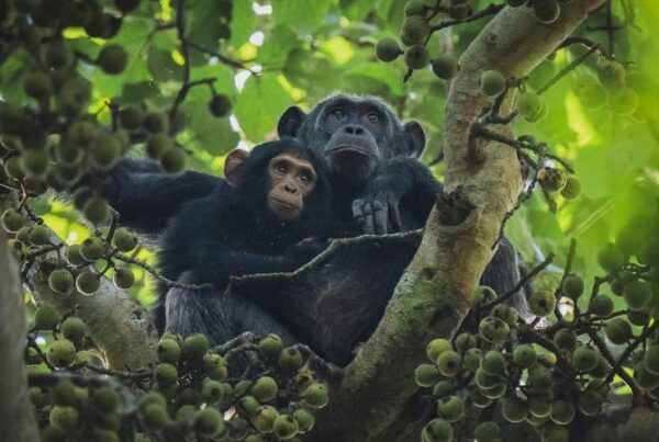 Local Communities near Kibale
