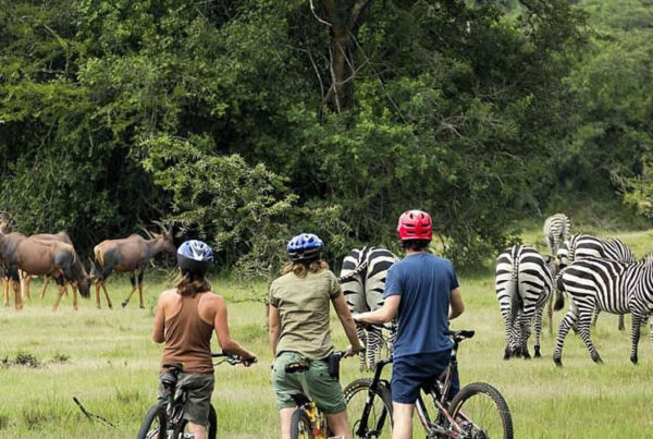 Cycling Safaris in Lake Mburo