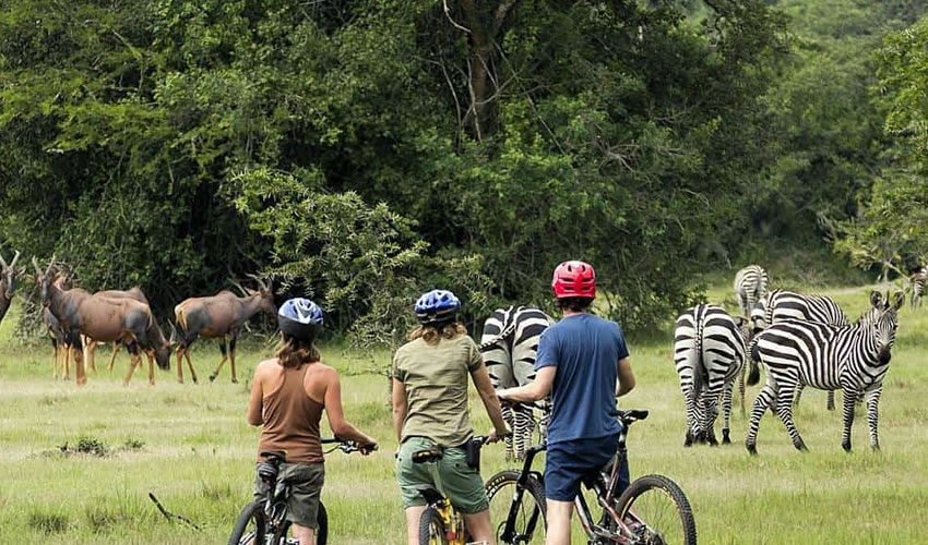 Cycling Safaris in Lake Mburo National Park