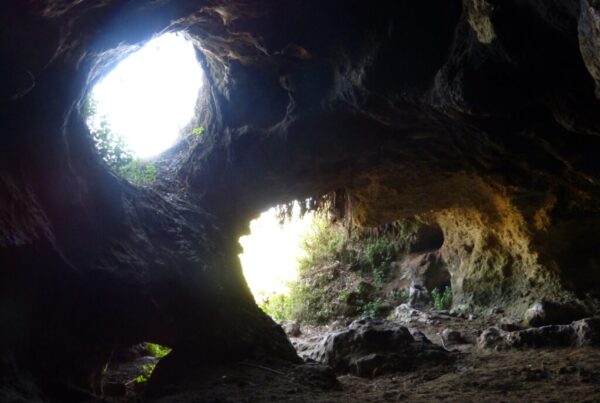 Exploring Caves of Mount Elgon