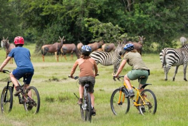 Family-Friendly Safari in Lake Mburo