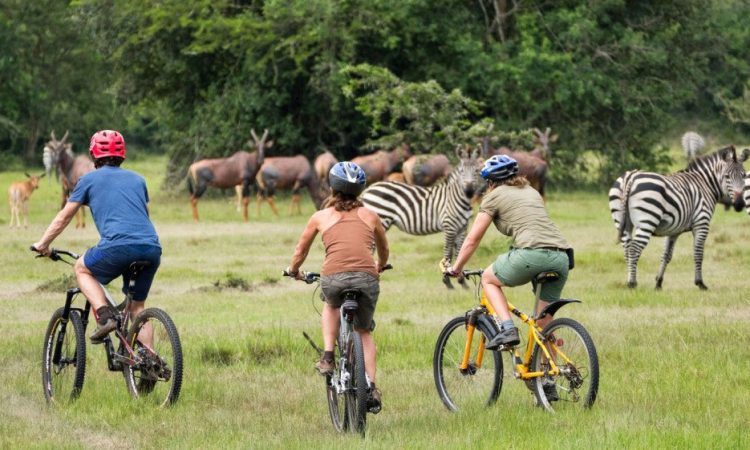 Family-Friendly Safari in Lake Mburo National Park