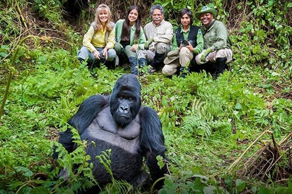 Gorilla Trekking in Mgahinga