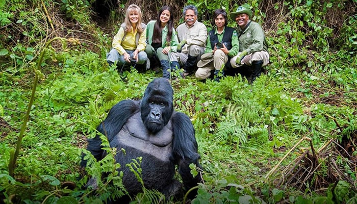 Gorilla Trekking in Mgahinga: What to Expect