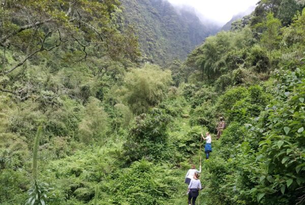 Hiking Mount Gahinga