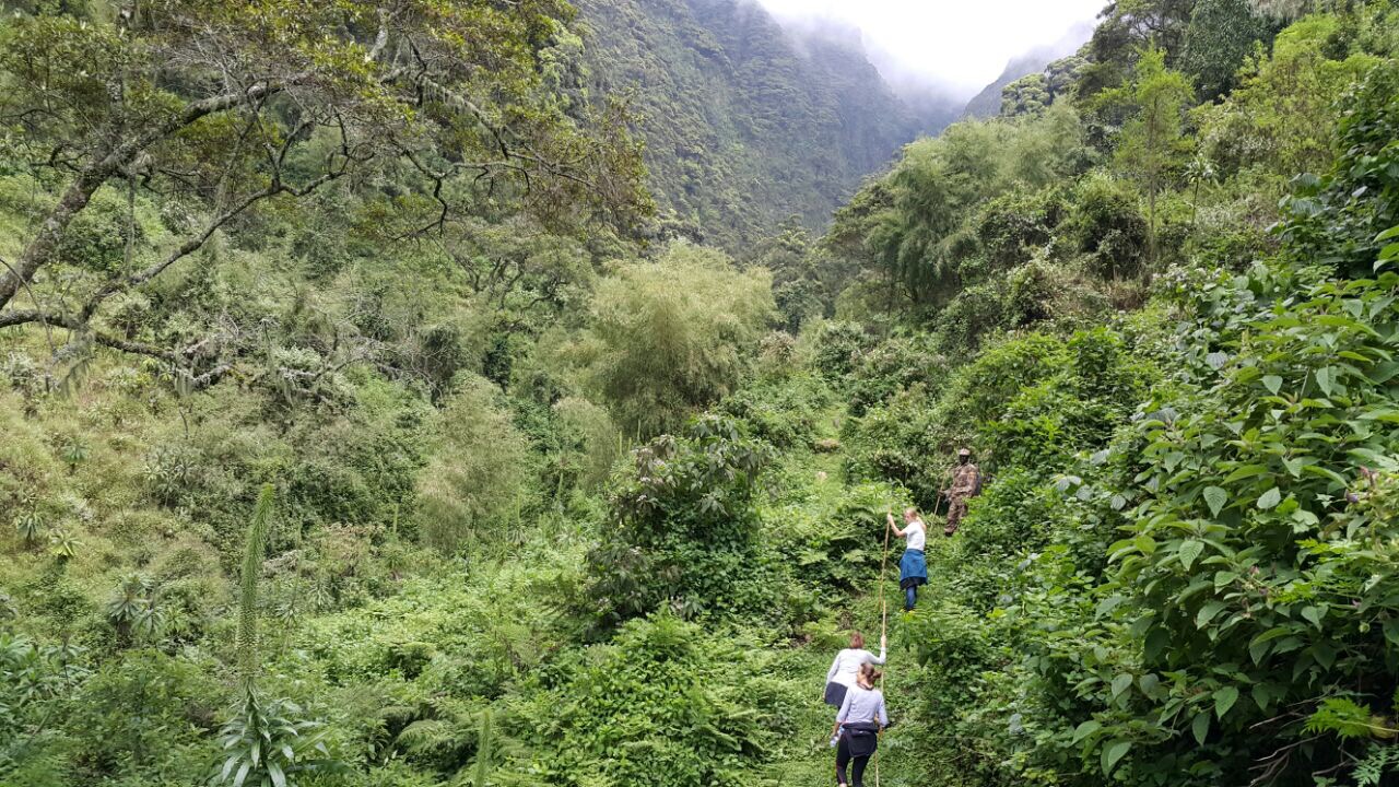 Hiking Mount Gahinga: A Guide for Trekkers