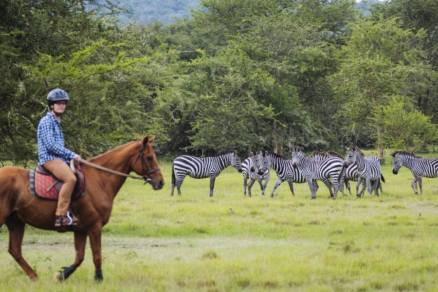 Horseback Safaris in Lake Mburo: A Unique Experience