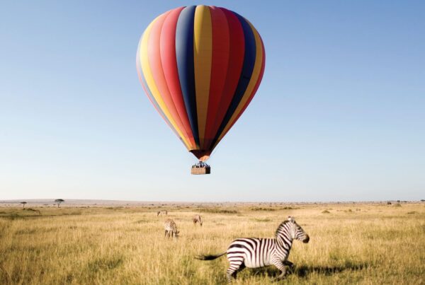 Balloon Safaris in Murchison Falls