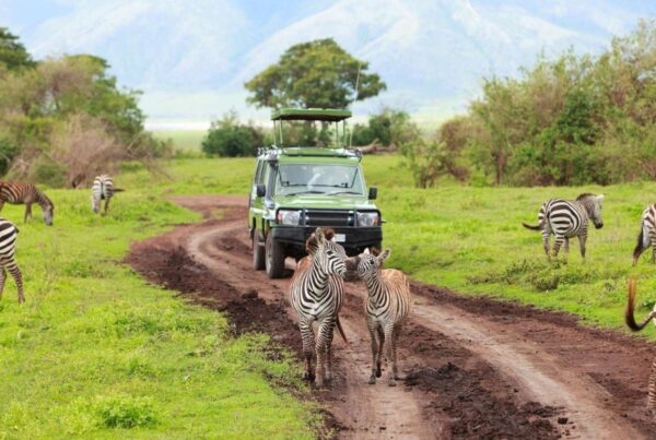 Combine Lake Mburo with Gorilla