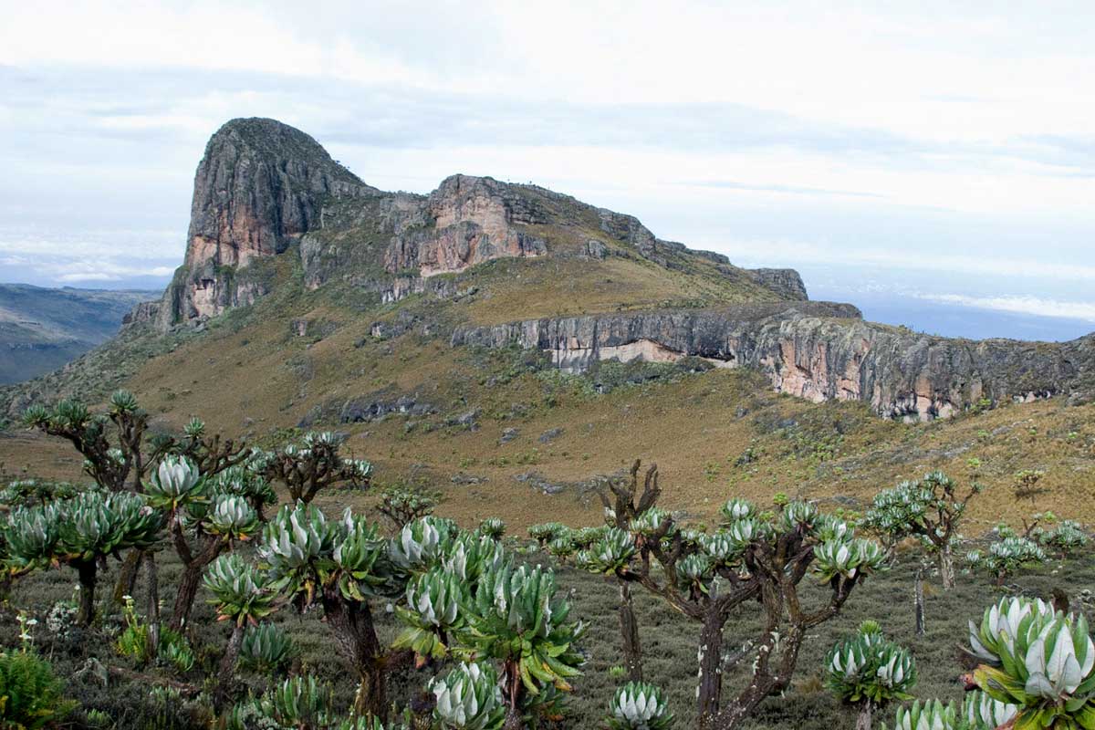 How to Get to Mount Elgon National Park