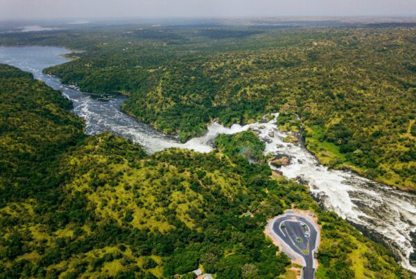 How to Get to Murchison Falls National Park