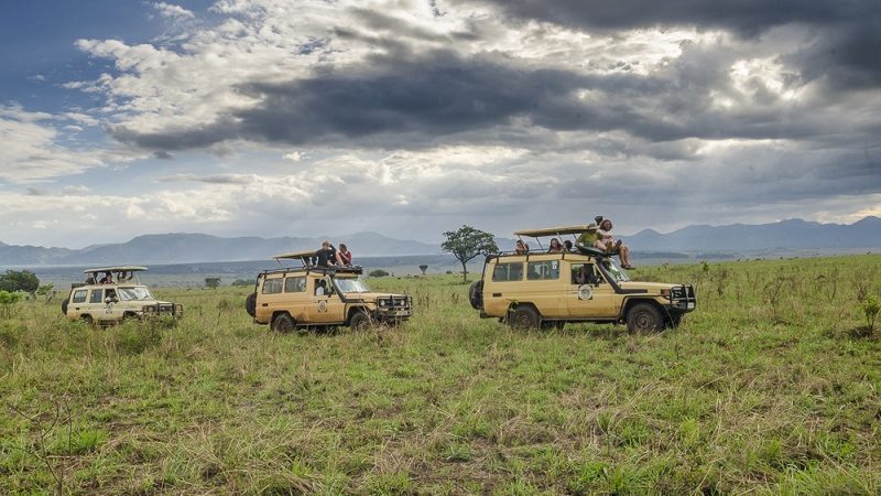 How to Reach Kidepo Valley National Park from Kampala