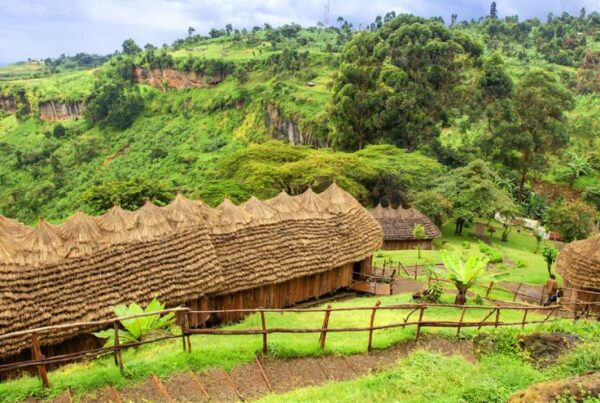 Luxury Lodges around Mount Elgon