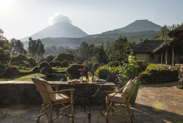 Luxury Safari Lodges in Mgahinga