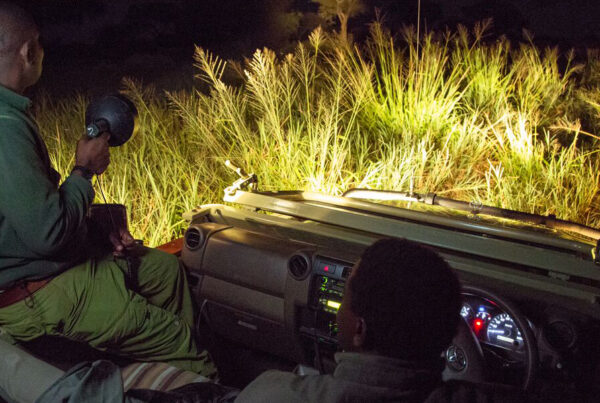 Safaris in Semuliki National Park