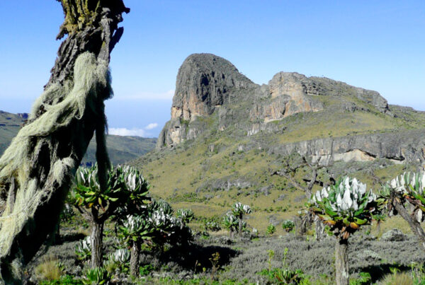 Mount Elgon National Park