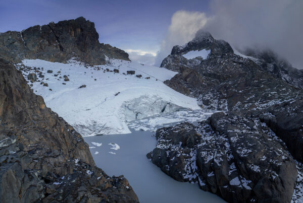 Rwenzori vs Kilimanjaro