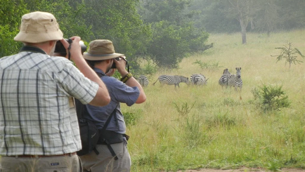 Safari Photography in Lake Mburo