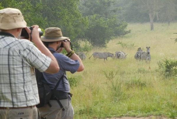 Safari Photography in Lake Mburo