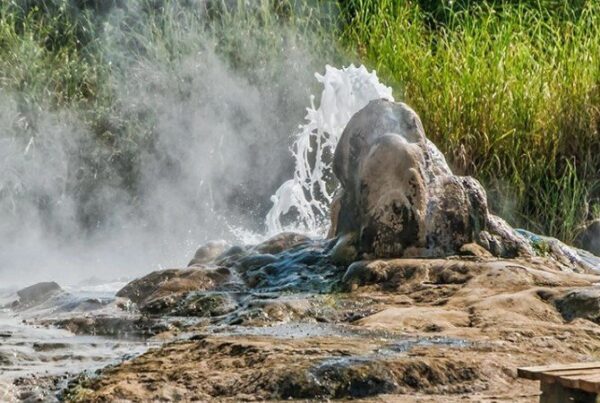 Semuliki National Park Safari