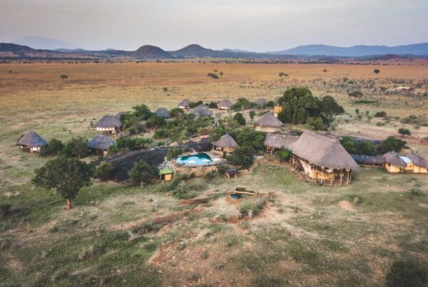 Best Safari Lodges in Kidepo