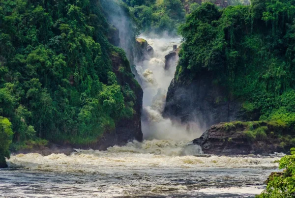 The Mighty Murchison Falls: Uganda’s Most Powerful Waterfall