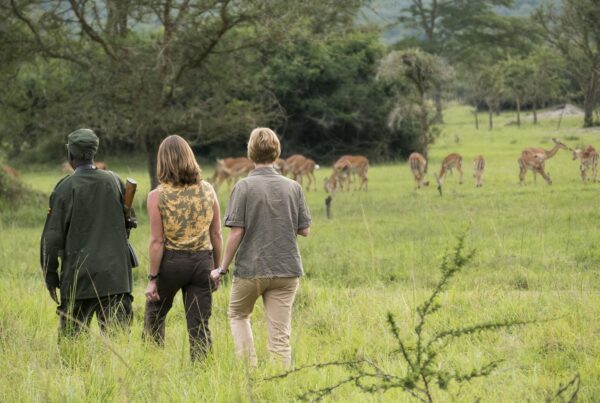 Walking Safaris in Lake Mburo