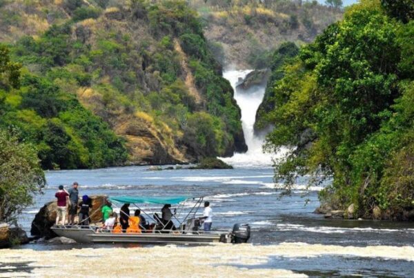 Safari on the Nile in Murchison Falls
