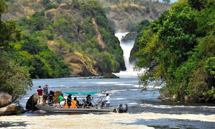Wildlife Safari on the Nile in Murchison Falls